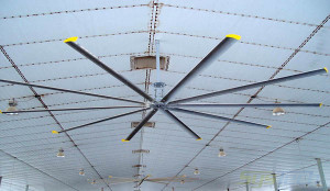 Large HVLS fans for heated ceiling air recirculation in a factory assembly area.